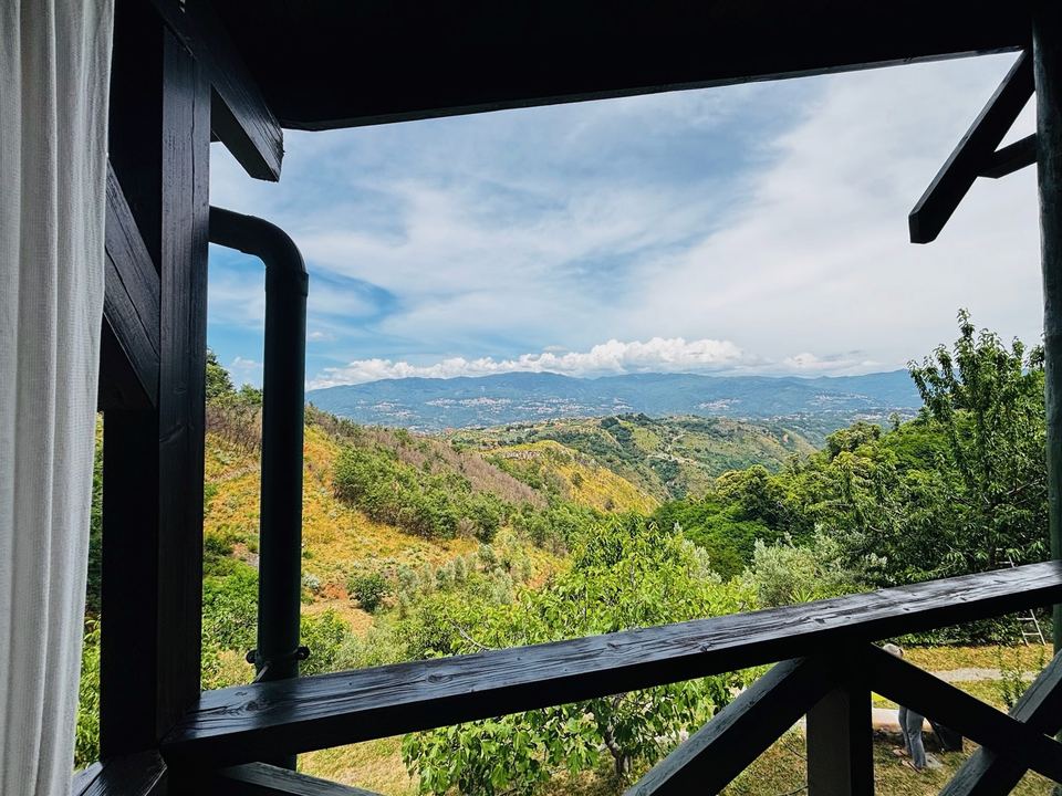 Hillside panorama from the veranda