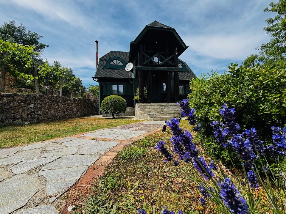 Stone path through lavender towards the house